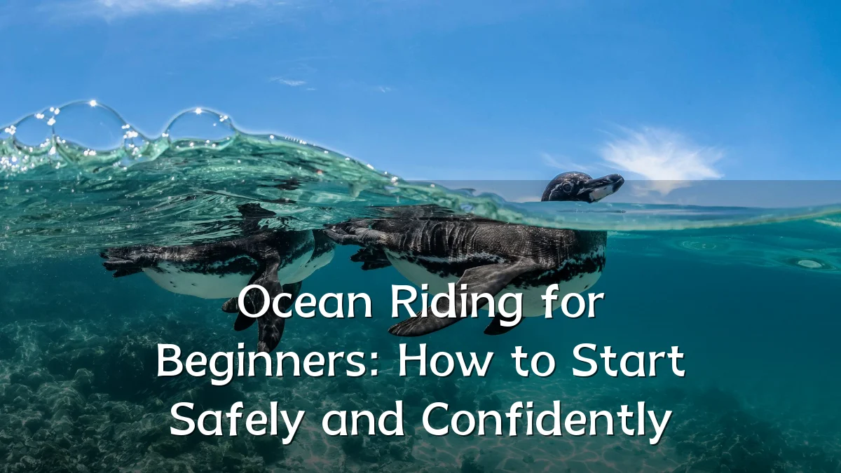 Ocean Riding for Beginners: How to Start Safely and Confidently