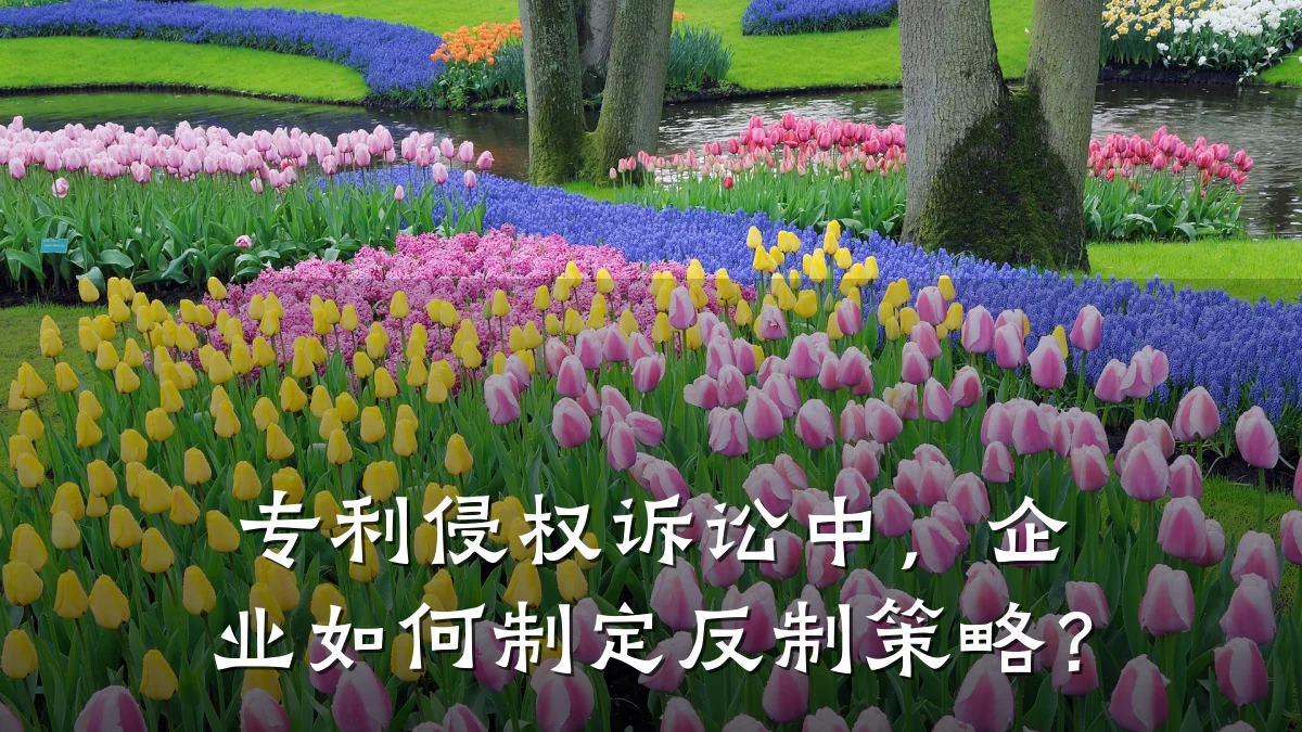 专利侵权诉讼中,企业如何制定反制策略?