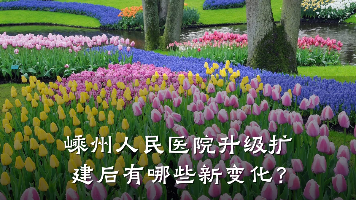 嵊州人民医院升级扩建后有哪些新变化?