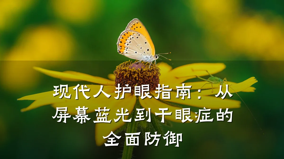 现代人护眼指南：从屏幕蓝光到干眼症的全面防御