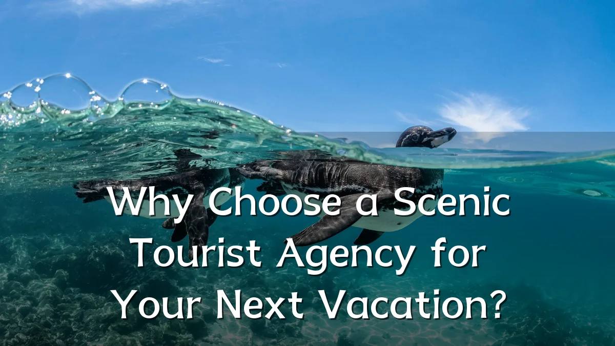 Why Choose a Scenic Tourist Agency for Your Next Vacation?