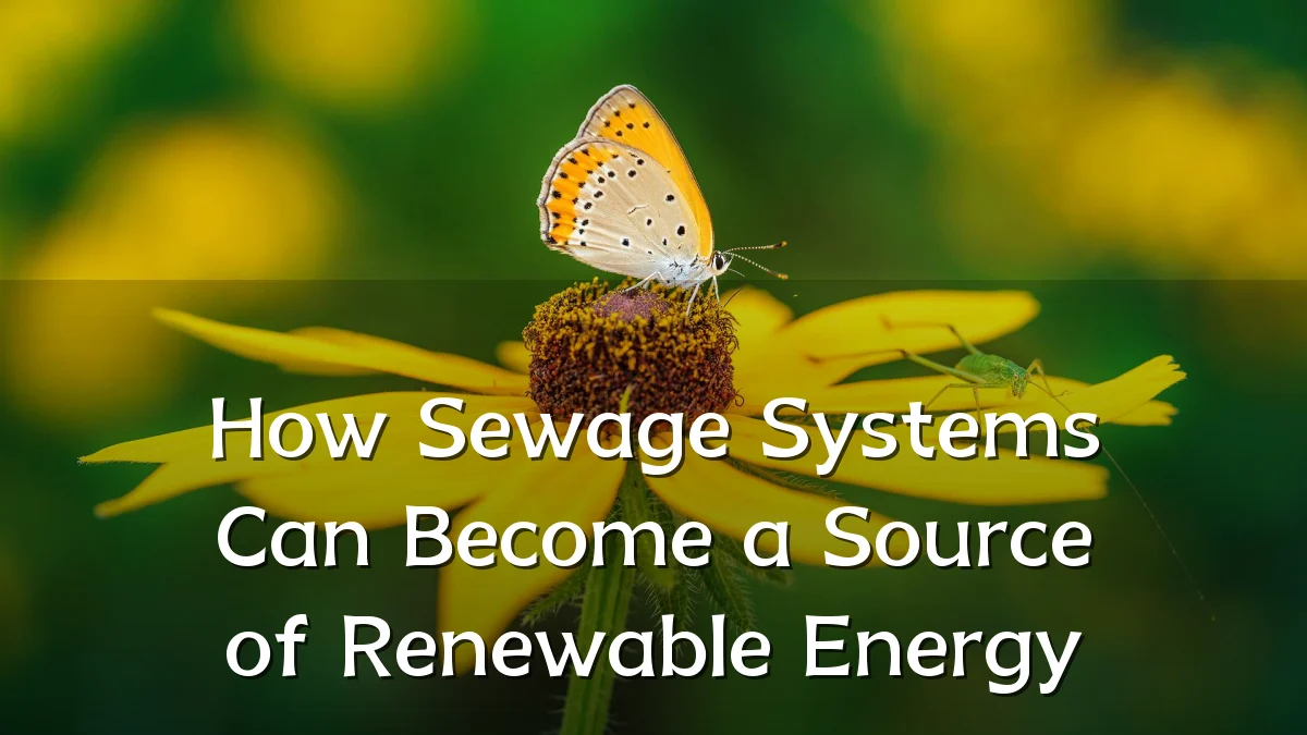How Sewage Systems Can Become a Source of Renewable Energy