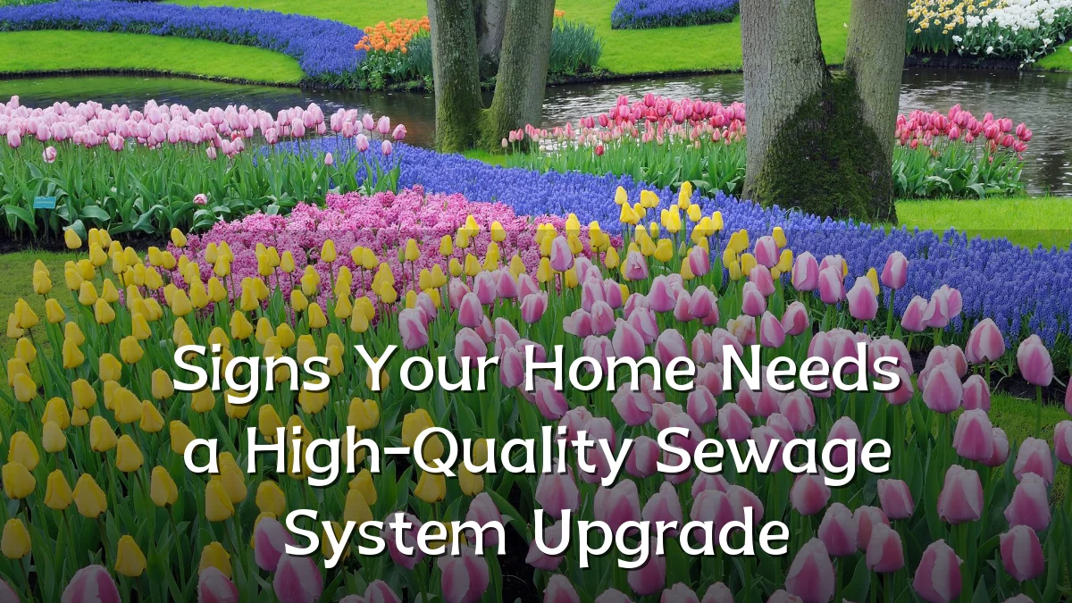 Signs Your Home Needs a High-Quality Sewage System Upgrade