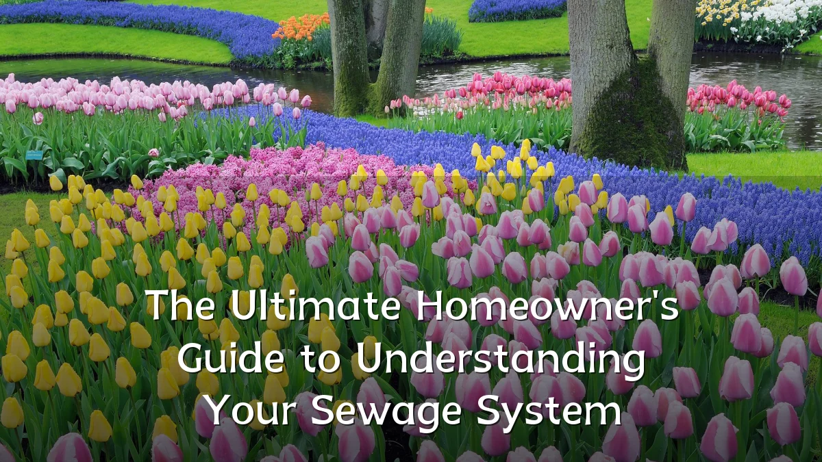 The Ultimate Homeowner's Guide to Understanding Your Sewage System