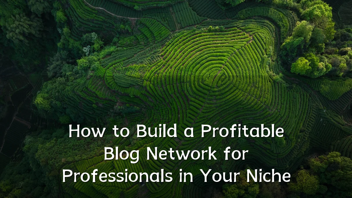 How to Build a Profitable Blog Network for Professionals in Your Niche