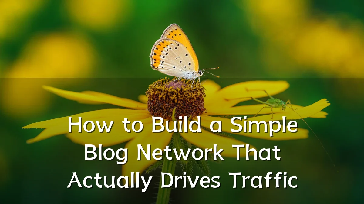 How to Build a Simple Blog Network That Actually Drives Traffic