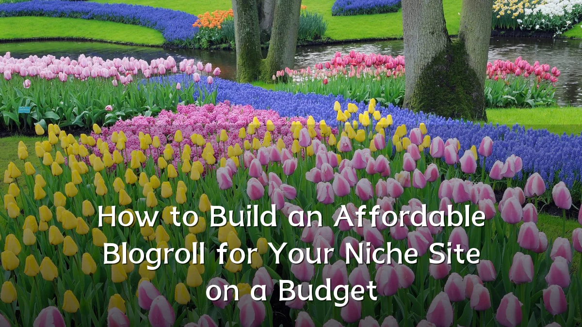 How to Build an Affordable Blogroll for Your Niche Site on a Budget