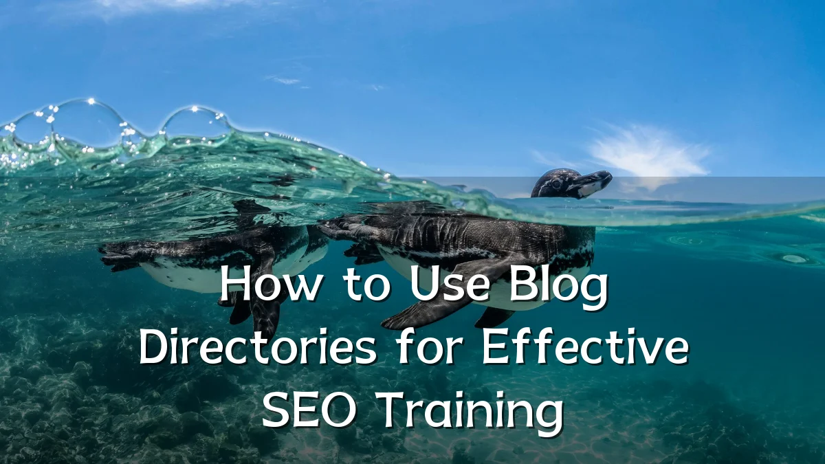 How to Use Blog Directories for Effective SEO Training