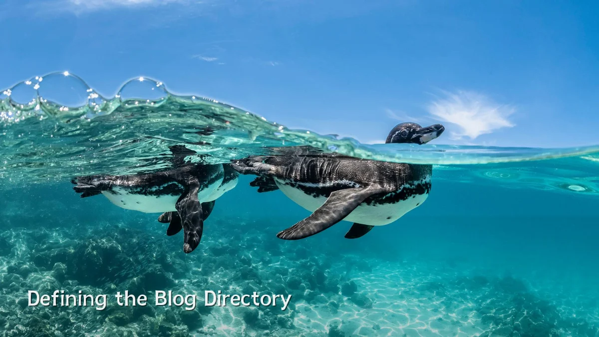 Defining the Blog Directory