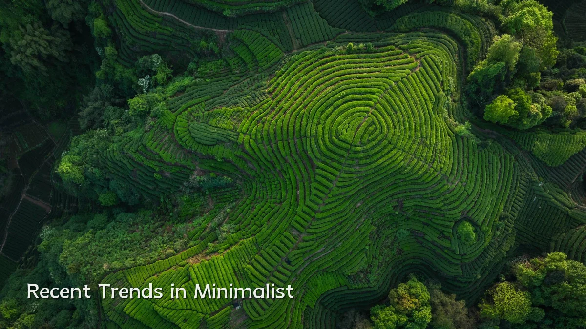 Recent Trends in Minimalist