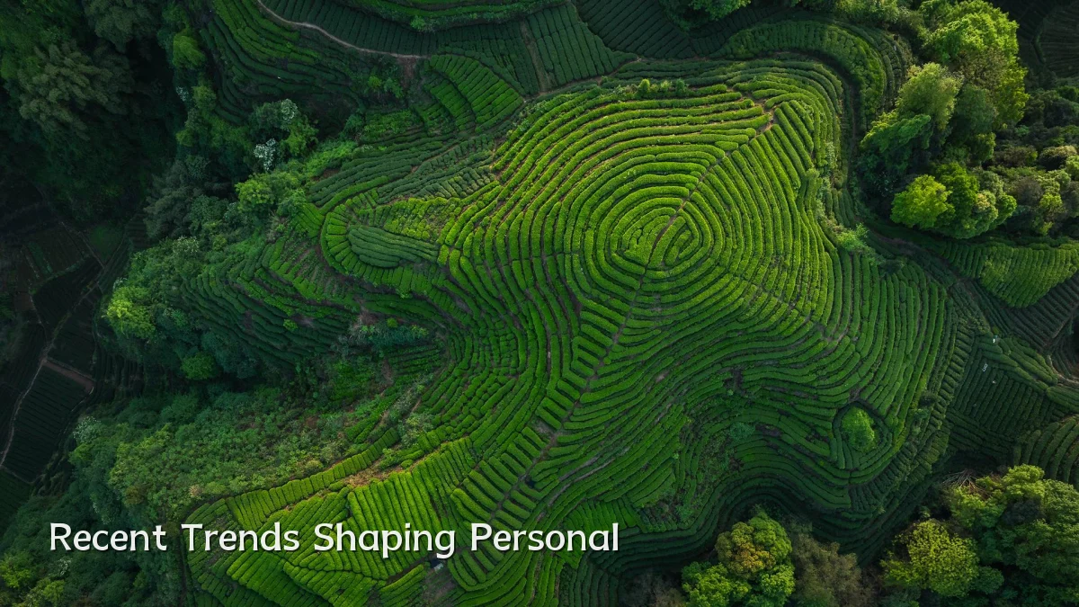 Recent Trends Shaping Personal