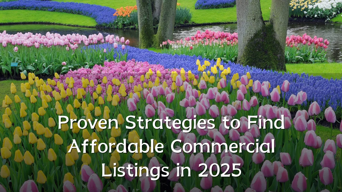 Proven Strategies to Find Affordable Commercial Listings in 2025