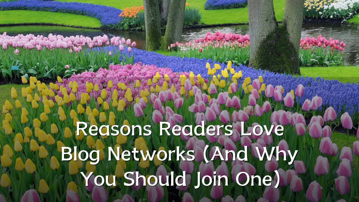 Reasons Readers Love Blog Networks (And Why You Should Join One)