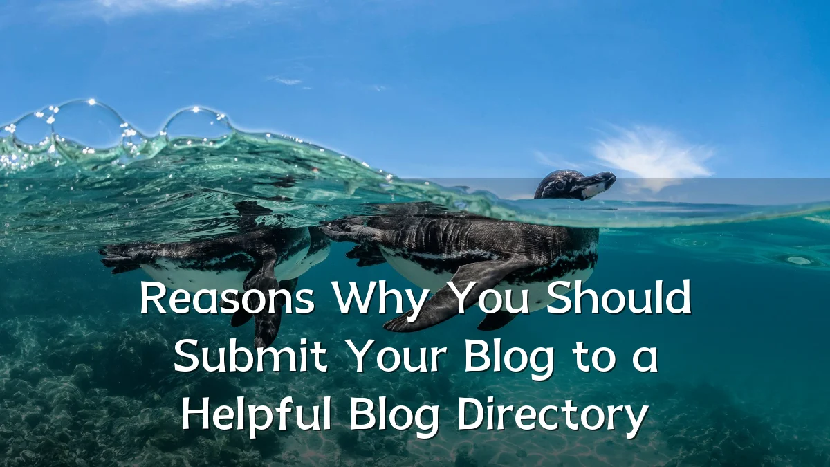 Reasons Why You Should Submit Your Blog to a Helpful Blog Directory