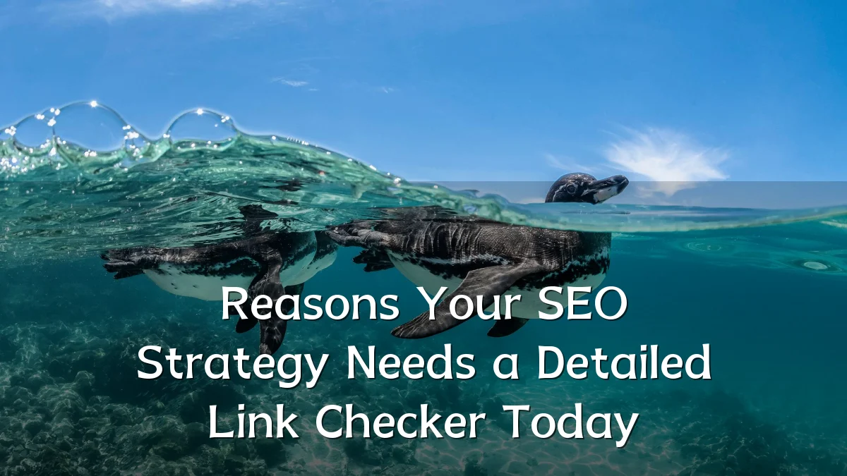 Reasons Your SEO Strategy Needs a Detailed Link Checker Today