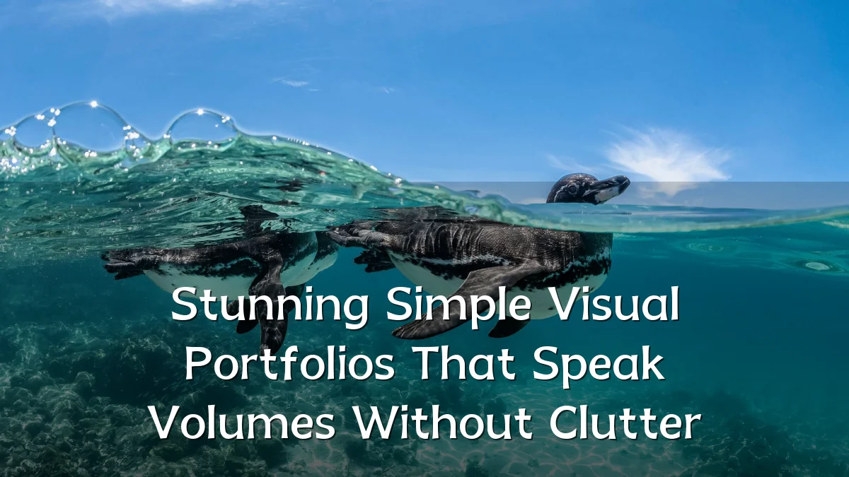 Stunning Simple Visual Portfolios That Speak Volumes Without Clutter
