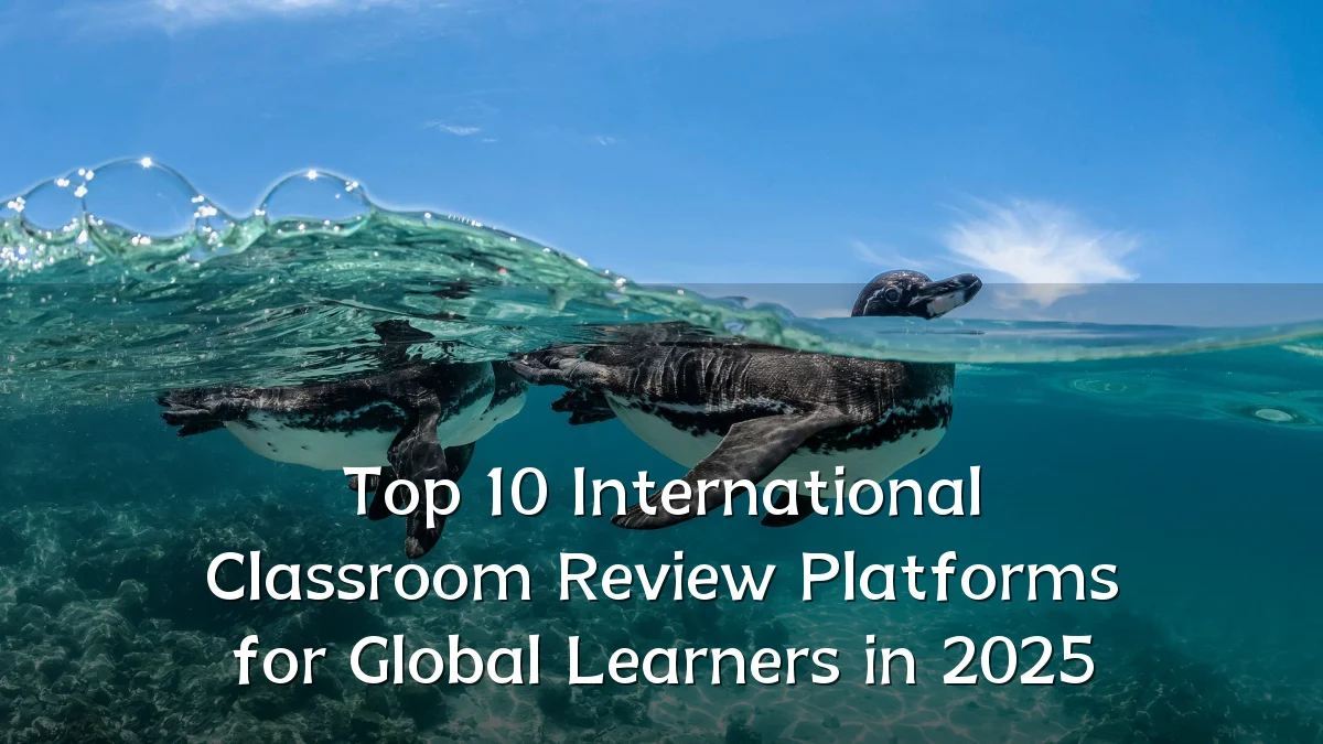 Top 10 International Classroom Review Platforms for Global Learners in 2025