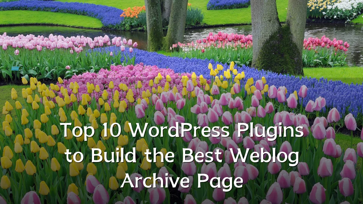 Top 10 WordPress Plugins to Build the Best Weblog Archive Page