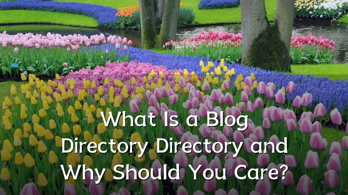 What Is a Blog Directory Directory and Why Should You Care?
