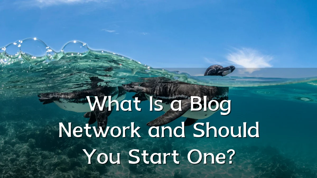 What Is a Blog Network and Should You Start One?