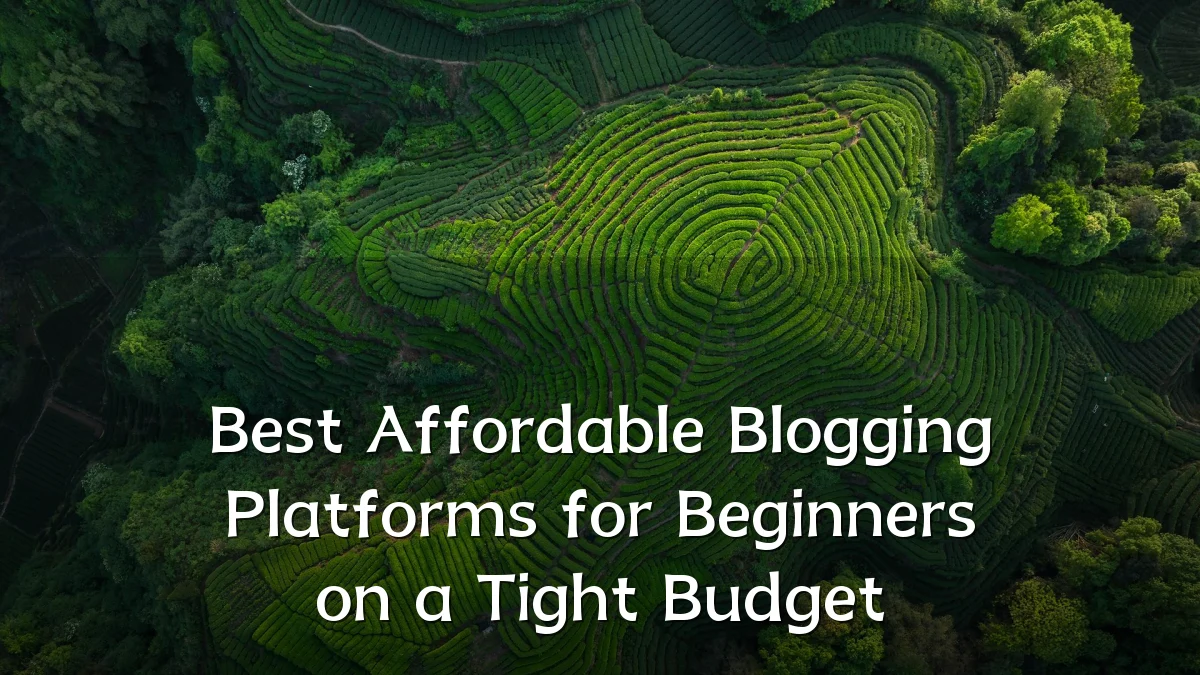 Best Affordable Blogging Platforms for Beginners on a Tight Budget