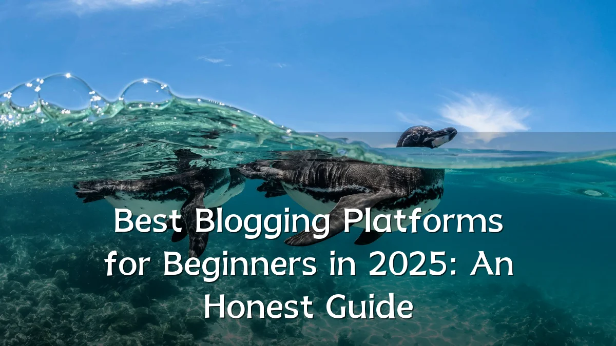 Best Blogging Platforms for Beginners in 2025: An Honest Guide