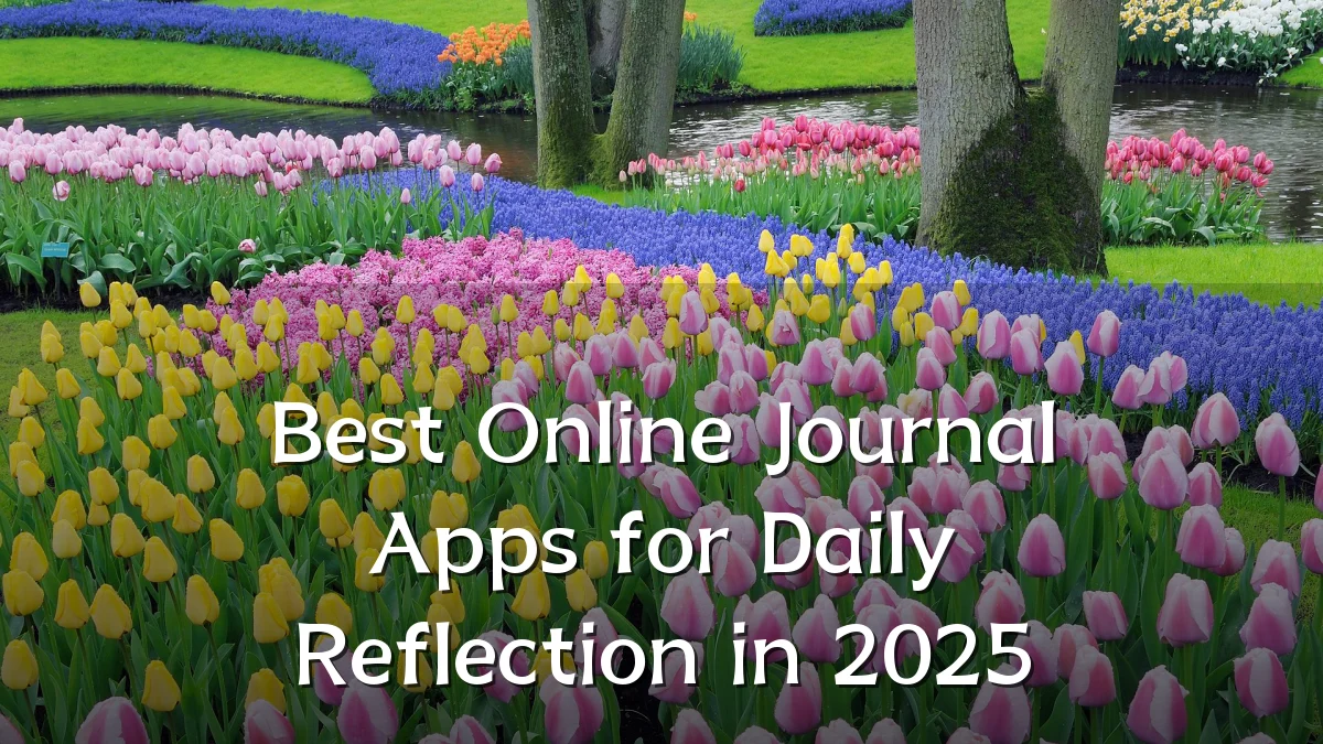 Best Online Journal Apps for Daily Reflection in 2025