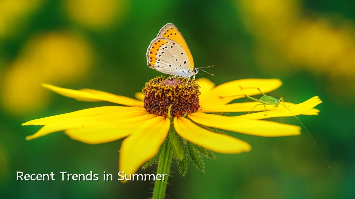 Recent Trends in Summer