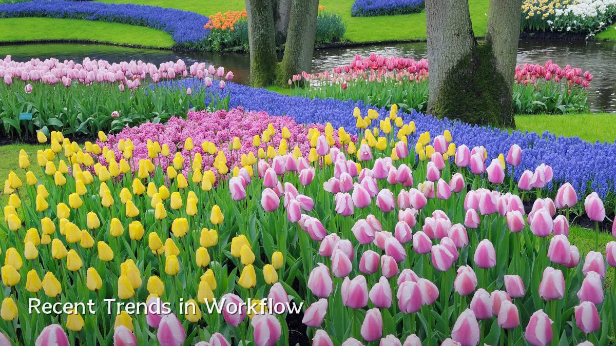 Recent Trends in Workflow