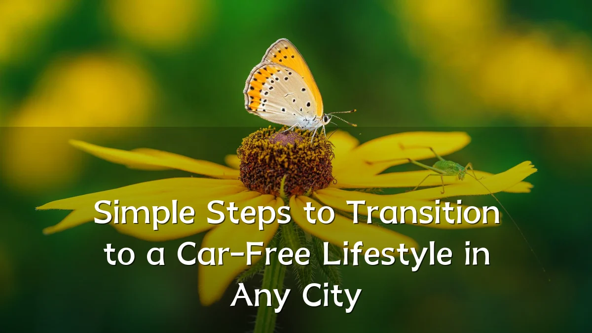 Simple Steps to Transition to a Car-Free Lifestyle in Any City
