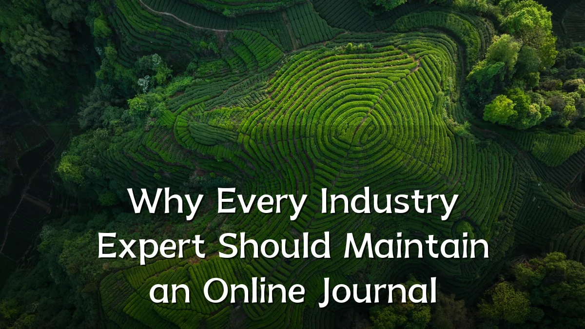 Why Every Industry Expert Should Maintain an Online Journal