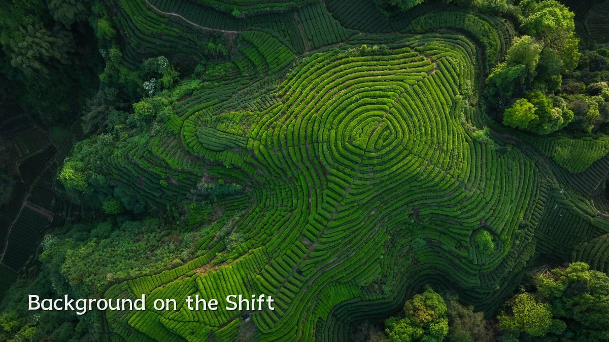 Background on the Shift