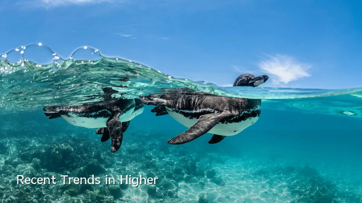 Recent Trends in Higher
