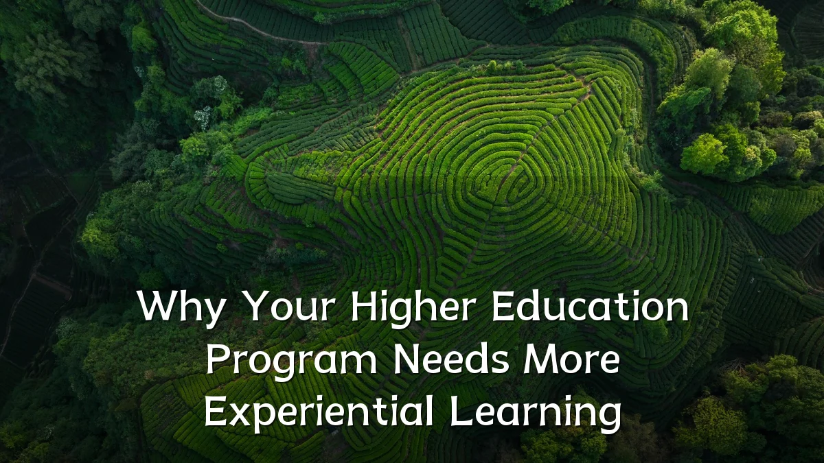 Why Your Higher Education Program Needs More Experiential Learning