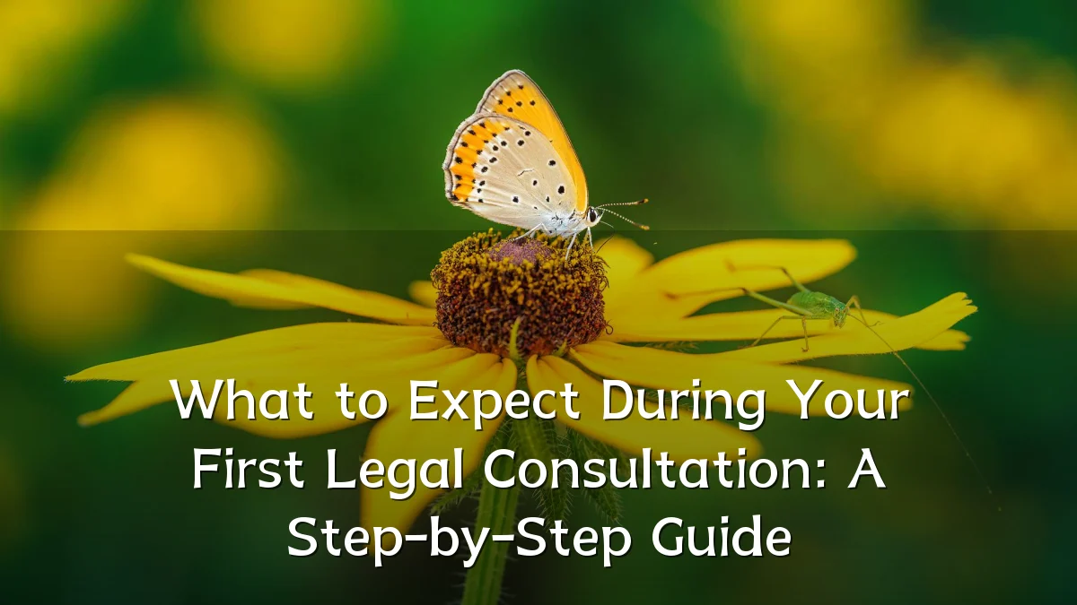 What to Expect During Your First Legal Consultation: A Step-by-Step Guide