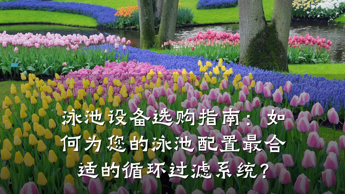泳池设备选购指南:如何为您的泳池配置最合适的循环过滤系统?