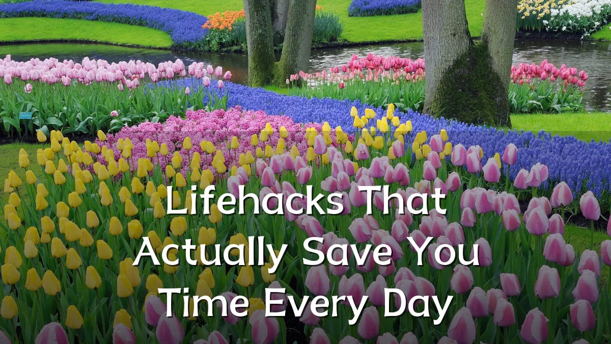 Lifehacks That Actually Save You Time Every Day