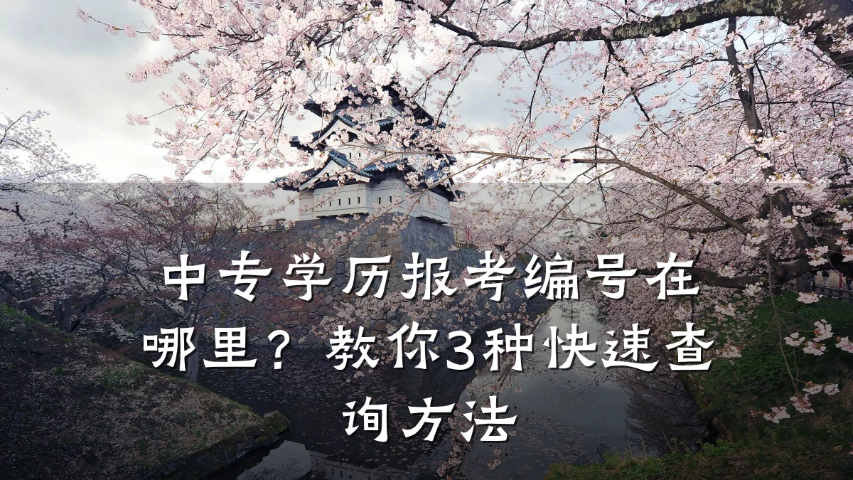 中专学历报考编号在哪里？教你3种快速查询方法