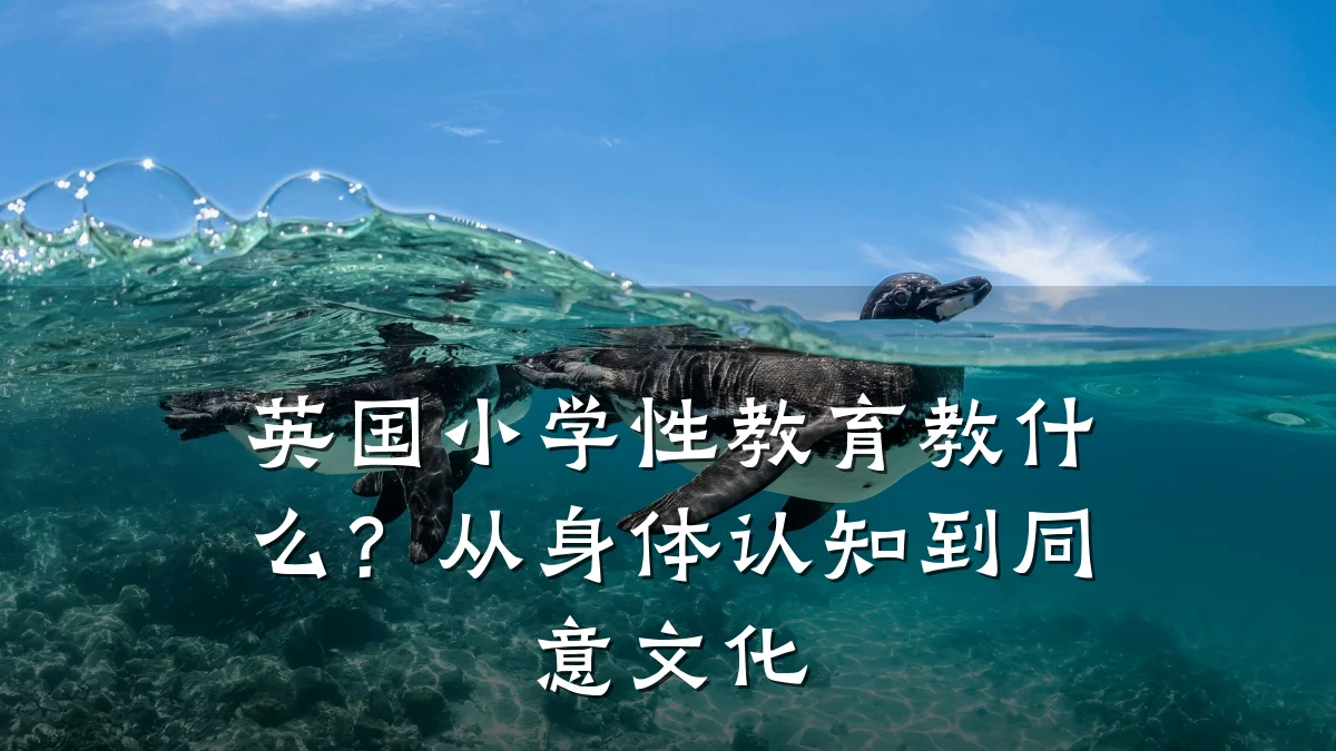英国小学性教育教什么？从身体认知到同意文化